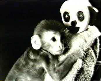 Harlow's Monkeys: The Cost and Revolution of Attachment Science